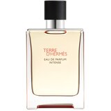 Hermès Terre d’parfumska voda intense za moške 100 ml | Shoptok.si