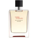 Hermès Muški parfem Terre d'EDP, 100 ml | Eponuda.com