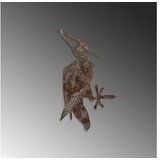 WALLXPERT Dekorativna figura Ptica na grani 10, 22x40 cm, 1,5 mm | Eponuda.ba
