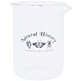 Esschert Design Steklena vaza (višina 12 cm) Natural History – | Shoptok.si