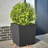 vidaXL Vrtne sadilice 2 kom crne 50 x 50 x 50 cm čelične | shoptok.hr