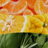 WoodWick Tangerine & Citron mirisna svijeća s drvenim fitiljem 610 g | shoptok.hr