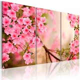  Slika - Cherry flower 60x40 Cijene
