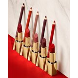Estée Lauder Pure Color Matte Lipstick dolgoobstojna šminka z mat učinkom odtenek Dark Desire 3,5 g | Shoptok.si