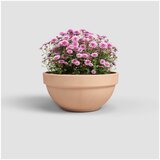 Artevasi Tegla za cvijeće od terakote ø 30 cm Amalia Campana – | shoptok.hr