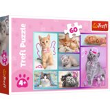 Puzzle 60 - Slatki mačići / Trefl 17373 | shoptok.hr
