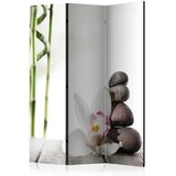 Artgeist PARAVAN 135/172/3 cm zelena, bela | Shoptok.si
