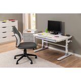 MID.YOU MLADINSKA PISALNA MIZA kovina, leseni material bela | Shoptok.si