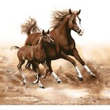  Salveta za dekupaž Horses - 1 kom (Salvete za dekupaž) cijene