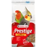 Big Parakeets 1 kg