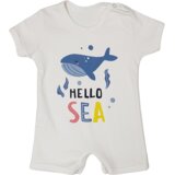 Corall Zeka za bebe, Belo-plava Cene