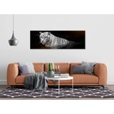  Slika - Shining Tiger (1 Part) Orange Narrow 120x40 | shoptok.hr