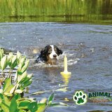 Trixie Dog aqua toy plutajuća igračka za pse | Eponuda.com