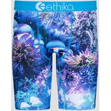 Ethika Shroomly Boksarice uni | Shoptok.si