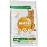 IAMS for Vitality Adult z jagnjetino - 10 kg Cene