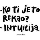 Aca Top Cat Magnet Intuicija Cene