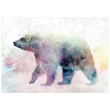  Tapeta - Lonely Bear 450x315 | shoptok.hr