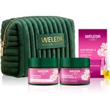 Weleda Wild Rose Renewal Ritual darilni set za prve gube Cene
