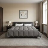  Ljetni pokrivač Svijetlo siva 200 x 200 cm Mikrovlakna | Eponuda.ba