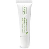 Ziaja Natural Olive hranjivi balzam za usne s ekstraktom masline 10 ml Cijene
