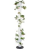 Gusta Garden Jagodni stolp - Sissi Strawberry Infinity Cene