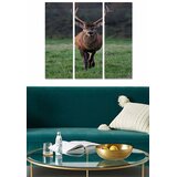 Wallity Set slika MDF2168278, 3 dijela | Eponuda.ba