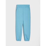 Sinsay Jogger hlače | shoptok.hr