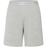 Jack & Jones Hlače 'JACCHARLIE' siva / srebrno siva / svijetlosiva Cijene