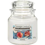 Yankee Candle Home Inspiration sveča v kozarcu Pomegranate Coconut - Medium | Shoptok.si