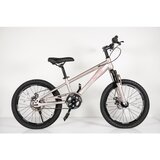 Winner Bike Dečiji bicikl 20” CHAMPAGNE/PINK | Eponuda.com