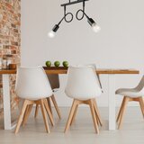  Plafonski luster HARRY 2xE27/60W/230V | Eponuda.com