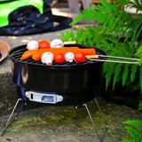 Fieldmann roštilj za dvorište FZG1003 | ePonuda.com