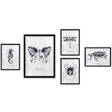 Wallity Slike u setu od 5 komada 34x44 cm Butterfly - | shoptok.hr