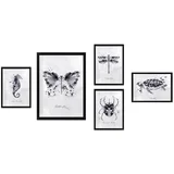 Slike u setu od 5 komada 34x44 cm Butterfly -