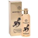 Montale arabians parfumska voda 100 ml unisex | Shoptok.si