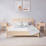 The Living Store Noćni ormarić 79,5 x 38 x 65,5 cm od masivne borovine | shoptok.hr