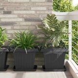  Saksije za biljke 6 pcs Crna 43 x 43 x 33,5 cm Plastika | shoptok.hr