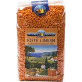 BioKing Bio rdeča leča Cene