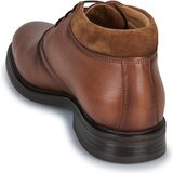 Kost Polškornji ZESTAN C1 anjeva | Shoptok.si
