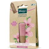 Kneipp Balzam za ustnice - Nežna nega - Mandelj Cene