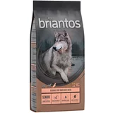 briantos - BREZ ŽIT suha pasja hrana 2 x 12 kg po posebni ceni! - Senior puran & krompir - BREZ ŽIT