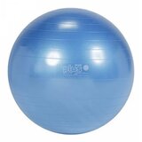 Ledraplastic lopta gymnic plava | ePonuda.com