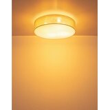 Globo STROPNA SVETILKA Jule 58/15,5 cm | Shoptok.si