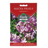 Floris cveće kadifa niska 0.5 g Cene