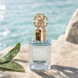 Roberto Cavalli Paradiso Azzurro parfumirana voda za ženske 100 ml | Shoptok.si