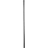 Kiotos Silicone Probe Viviana 24cm Cene