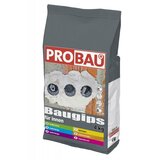 PROBAU gips (4 kg) Cijene