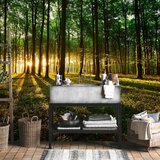  Foto tapeta - Mystical Morning 250x175 Vodootporna | shoptok.hr