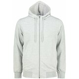 Aliatic Men's hoodie cene