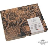Magic Garden Seeds paleo - set semen Cene